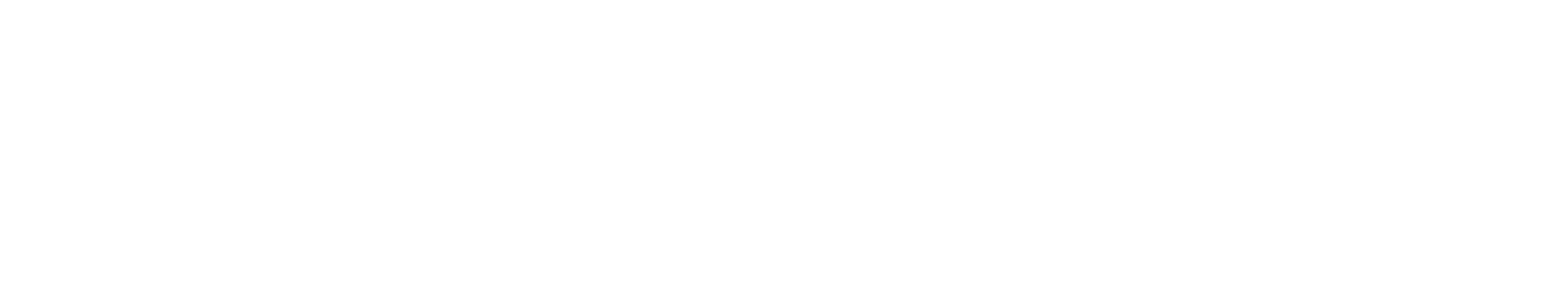 Zoom Motors